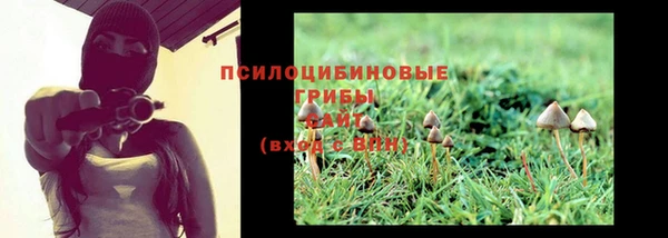 альфа пвп Осинники