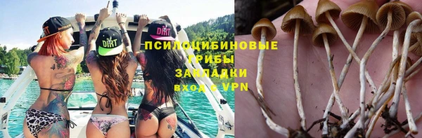 mix Данков