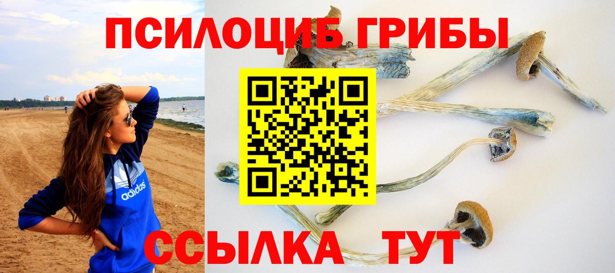 Галлюциногенные грибы Cubensis Краснотурьинск