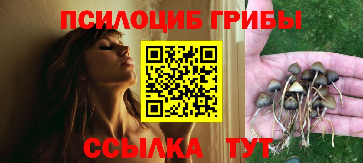 Галлюциногенные грибы Psilocybe Краснотурьинск
