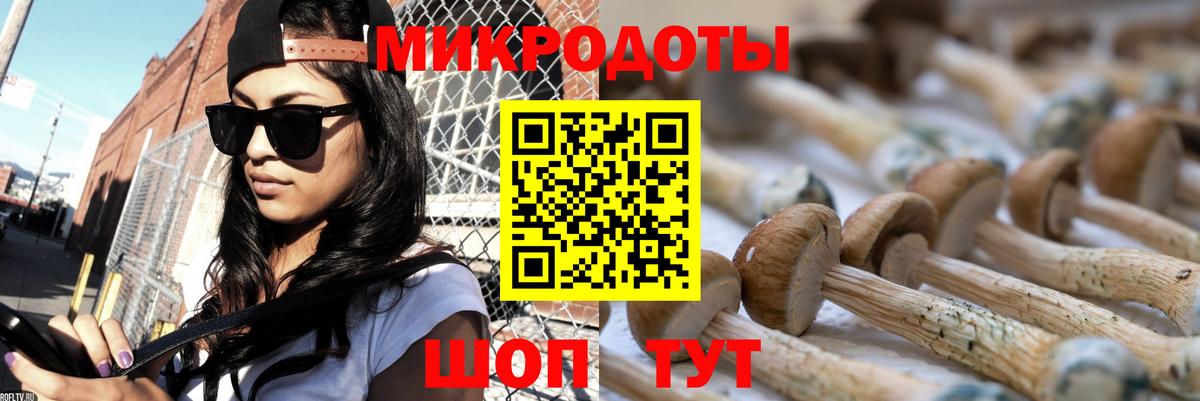 Краснотурьинск  Галлюциногенные грибы MAGIC MUSHROOMS  Псилоцибиновые грибы мицелий  Вход с VPN 